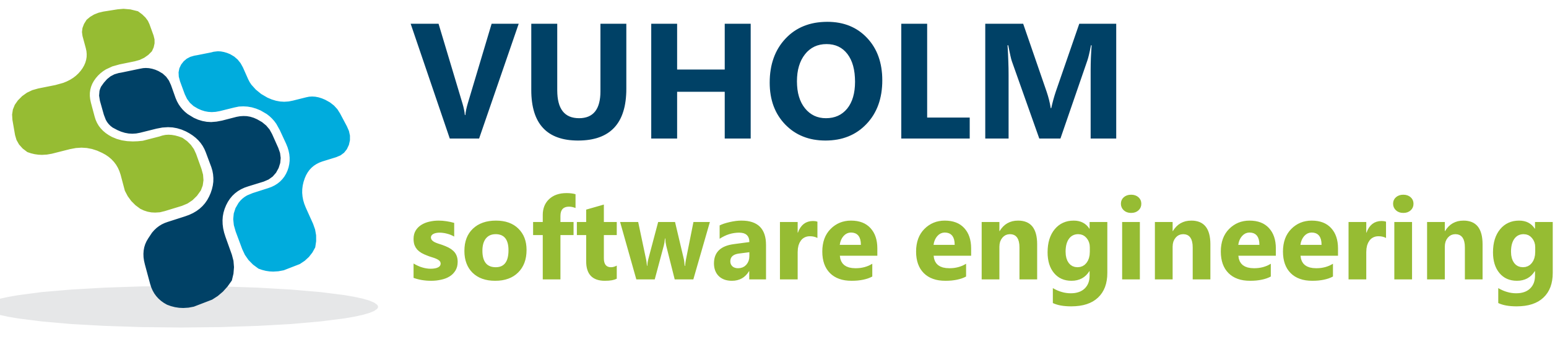 Vuholm Software Engineering